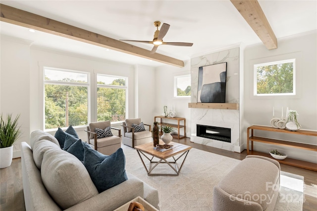 living room with a wealth of natural light, beam ceiling, a premium fireplace, and hardwood / wood-style flooring