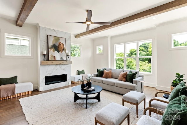 living room with a premium fireplace, light hardwood / wood-style floors, and a healthy amount of sunlight