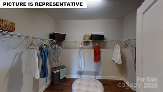 walk in closet with dark wood-type flooring