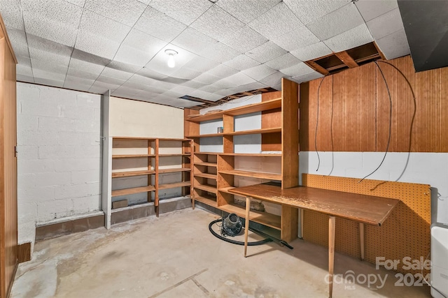 basement with wood walls