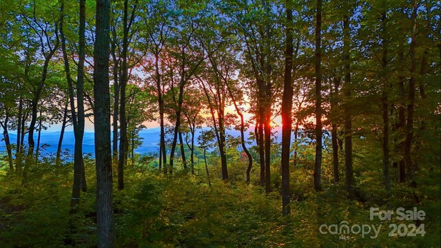 LOT68 Mountain Grove Ln, Fletcher NC, 28732 land for sale