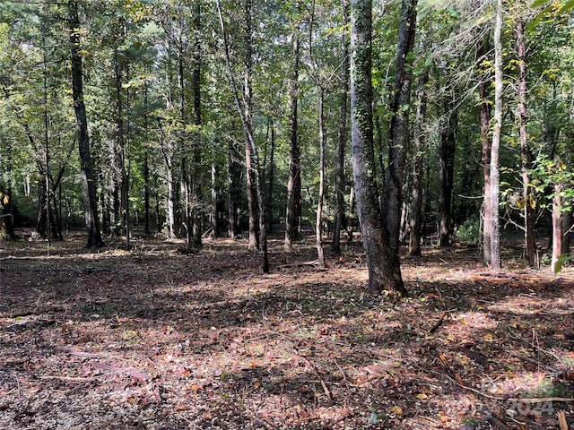 00 Hawkins Creek Rd, Hendersonville NC, 28791 land for sale