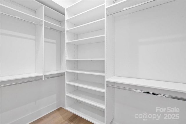 walk in closet with hardwood / wood-style flooring