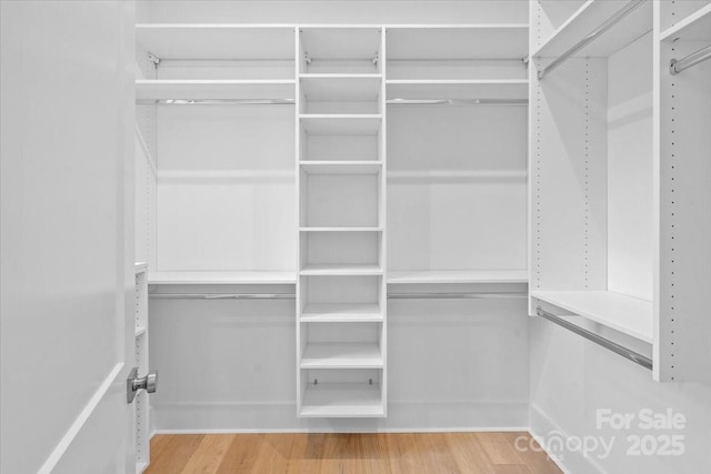 walk in closet featuring light wood-type flooring