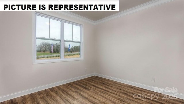 unfurnished room with crown molding, dark wood-type flooring, and a wealth of natural light