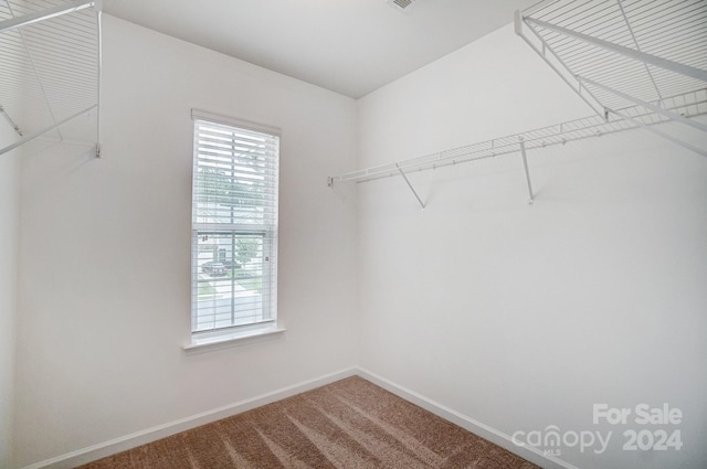 walk in closet featuring carpet flooring