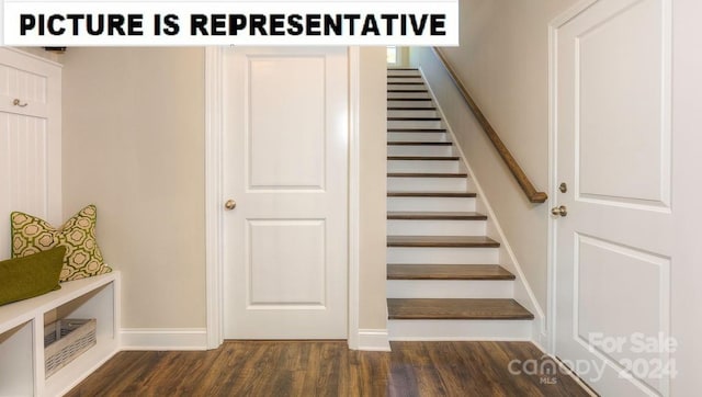 stairway featuring hardwood / wood-style floors