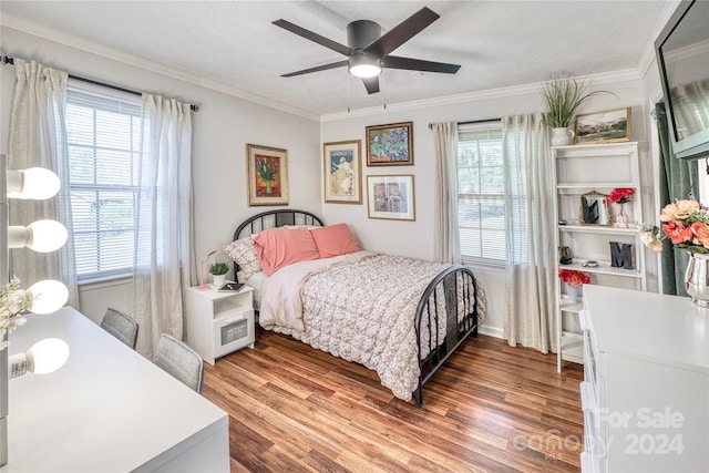 bedroom featuring dark hardwood / wood-style flooring, a textured ceiling, multiple windows, and ceiling fan