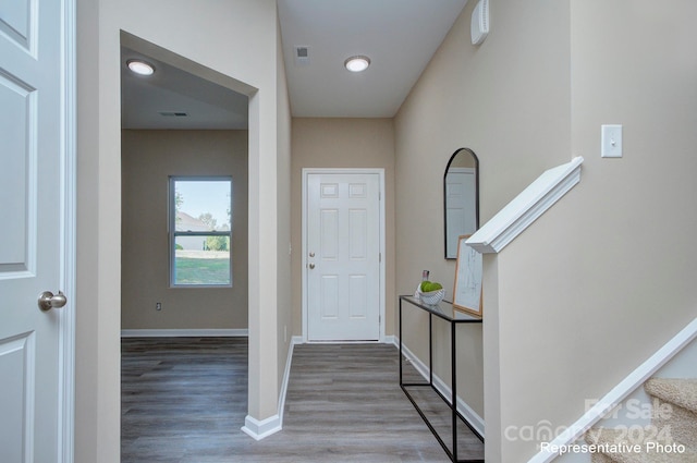 entryway featuring wood-type flooring