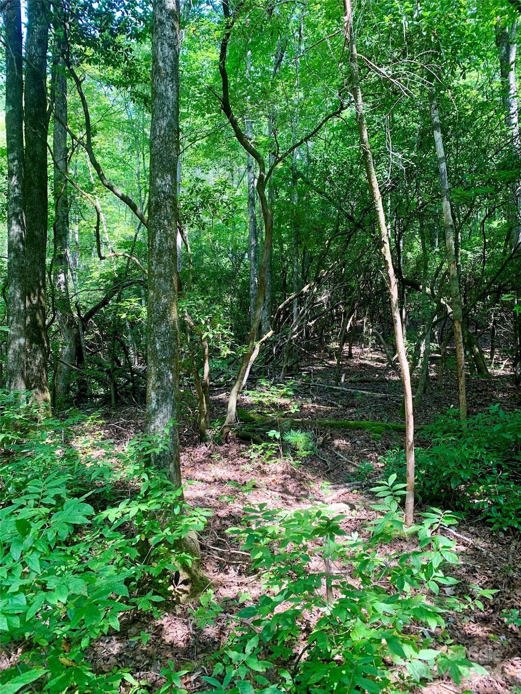 TBD Double Creek Dr Unit 6, Brevard, NC 28712 - photo 1
