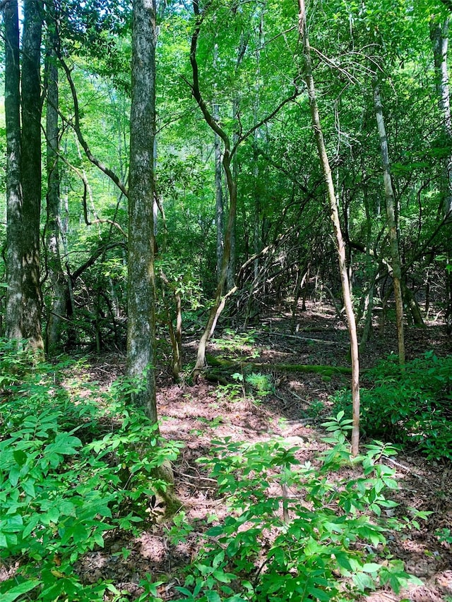 TBD Double Creek Dr Unit 6, Brevard, NC 28712 - photo 1