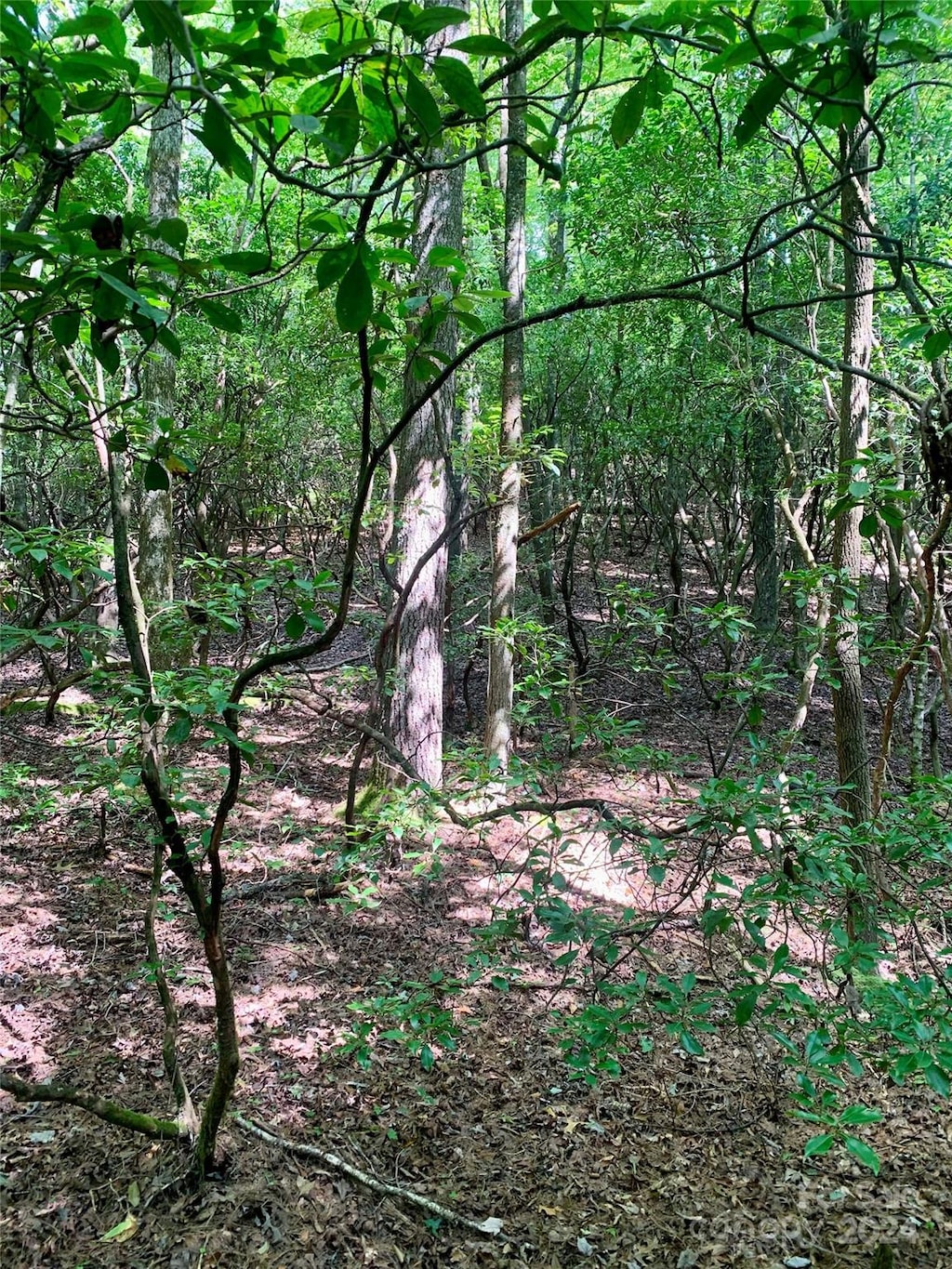 TBD Double Creek Dr Unit 6, Brevard, NC 28712 - photo 2