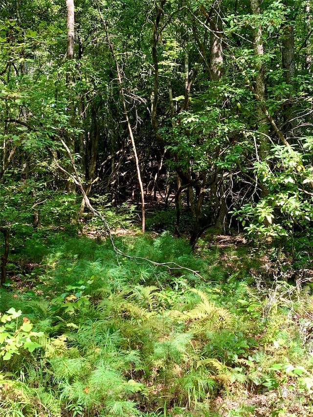 TBD Double Creek Dr Unit 6, Brevard, NC 28712 - photo 3