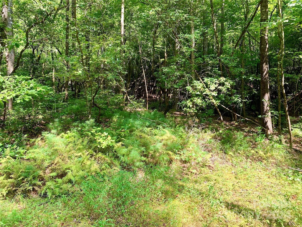 TBD Double Creek Dr Unit 6, Brevard, NC 28712 - photo 4