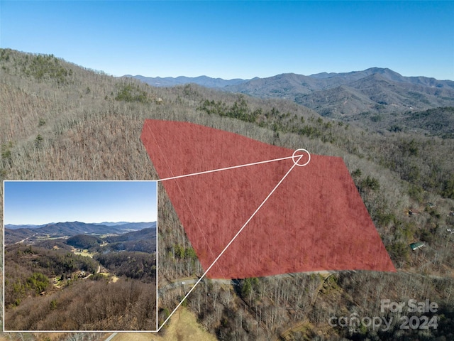 00 Cove Creek Rd, Waynesville NC, 28785 land for sale