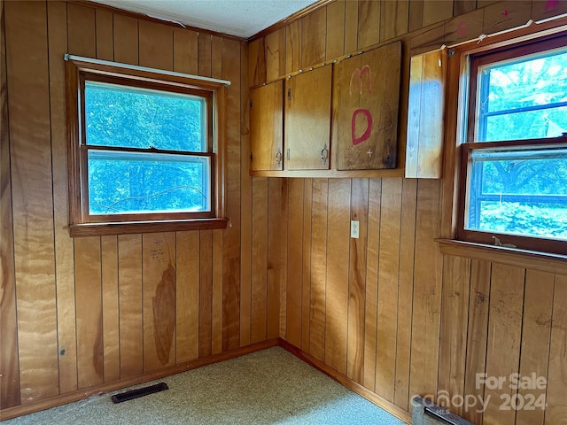 spare room featuring light carpet and wood walls