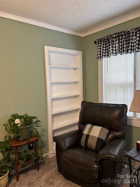 sitting room featuring carpet floors and crown molding