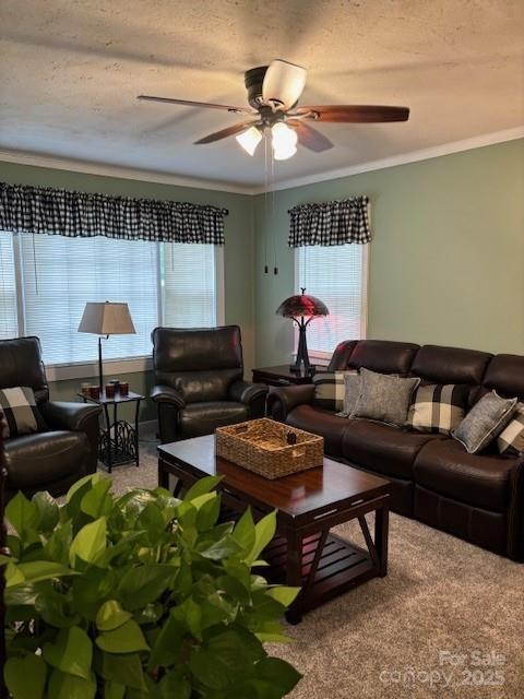 carpeted living room featuring a textured ceiling, ornamental molding, plenty of natural light, and a ceiling fan