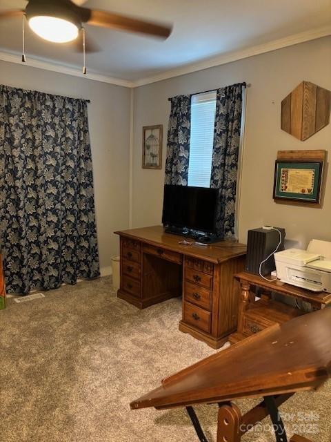 office featuring ornamental molding, ceiling fan, and carpet floors