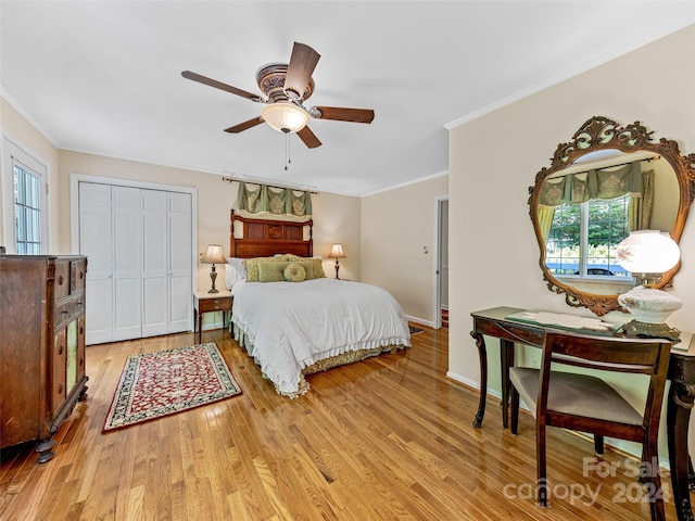 bedroom with light wood-type flooring, ceiling fan, multiple windows, and crown molding