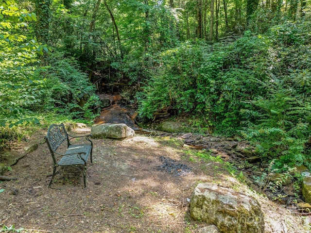 163 Northern Lights Ln, Hendersonville, NC 28739 - photo 44