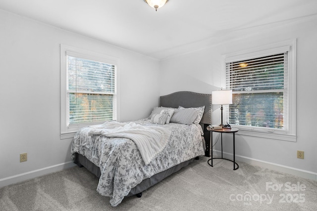 bedroom featuring carpet