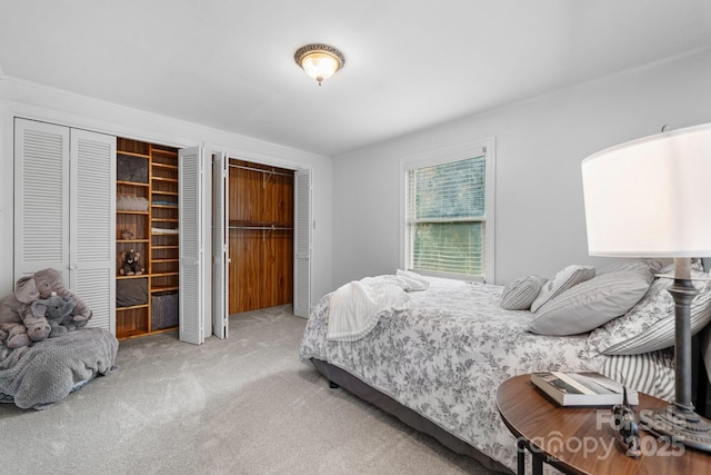 carpeted bedroom with two closets