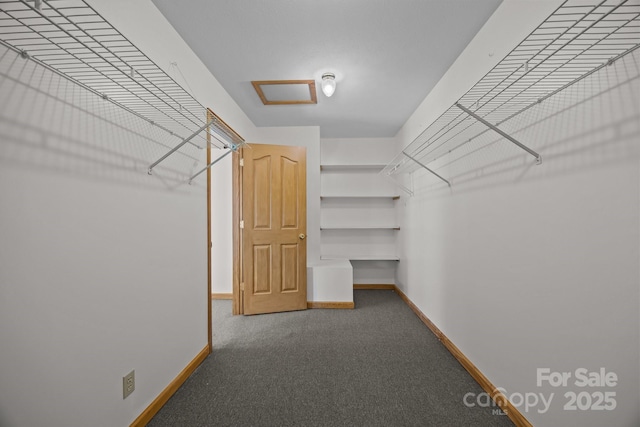 view of walk in closet