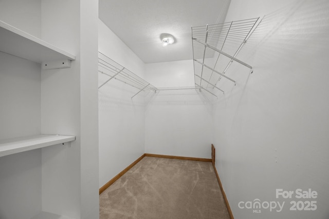 spacious closet with light colored carpet