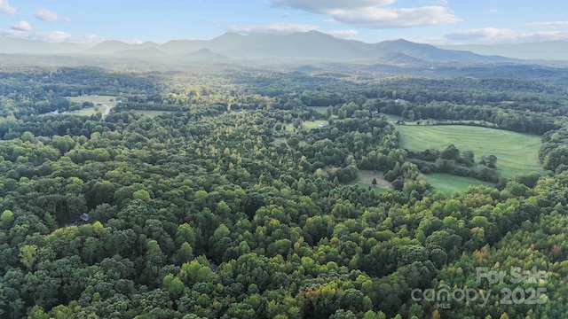 birds eye view of property featuring a mountain view