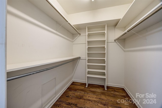 spacious closet featuring dark wood-type flooring