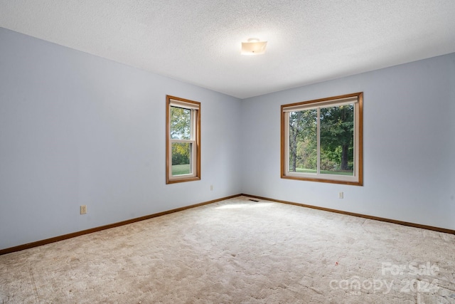 empty room with a wealth of natural light, carpet, and a textured ceiling