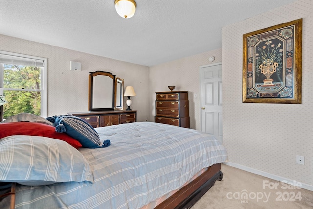 carpeted bedroom with a textured ceiling