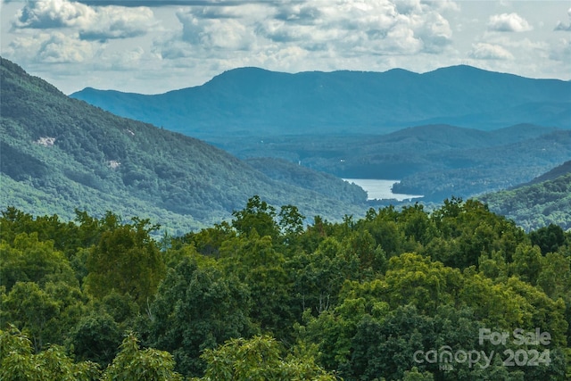 99999 Rhododendron Dr Unit 4, Old Fort, NC 28762