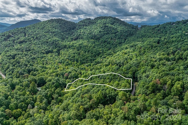 99999 Rhododendron Dr Unit 4, Old Fort, NC 28762