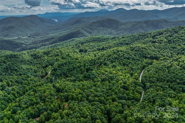 99999 Rhododendron Dr Unit 4, Old Fort, NC 28762