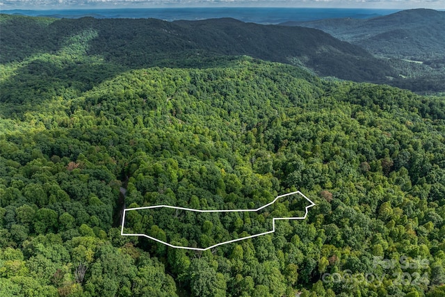 99999 Rhododendron Dr Unit 4, Old Fort, NC 28762