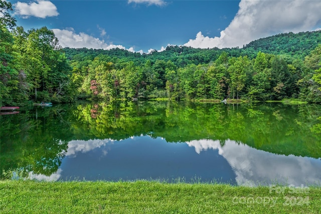 99999 Rhododendron Dr Unit 4, Old Fort, NC 28762