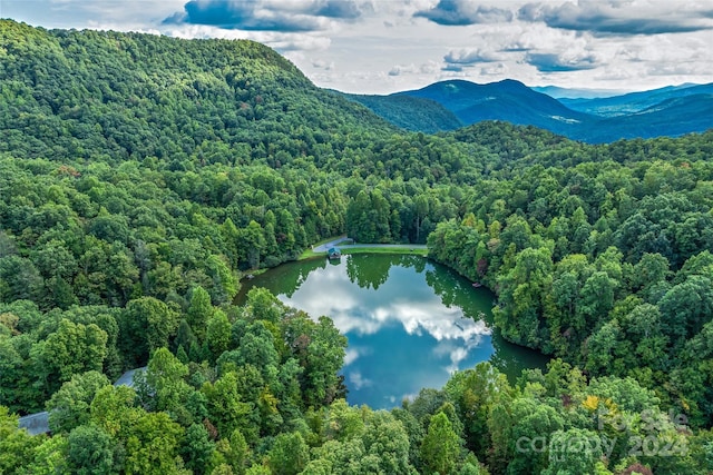 99999 Rhododendron Dr Unit 4, Old Fort, NC 28762
