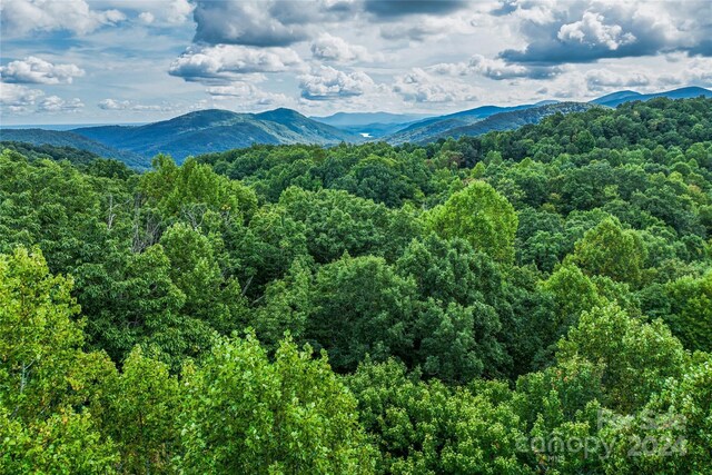 99999 Rhododendron Dr Unit 4, Old Fort, NC 28762