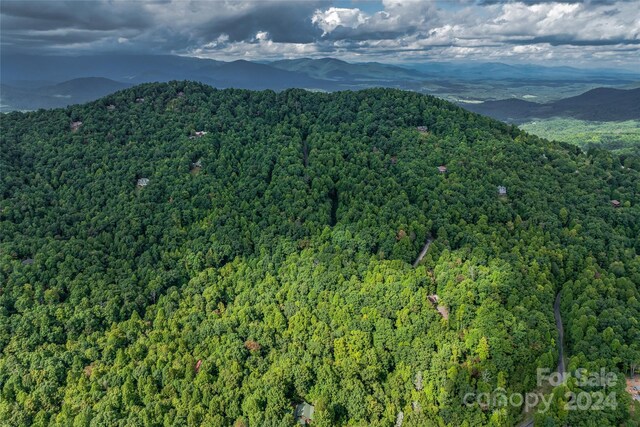 99999 Rhododendron Dr Unit 4, Old Fort, NC 28762