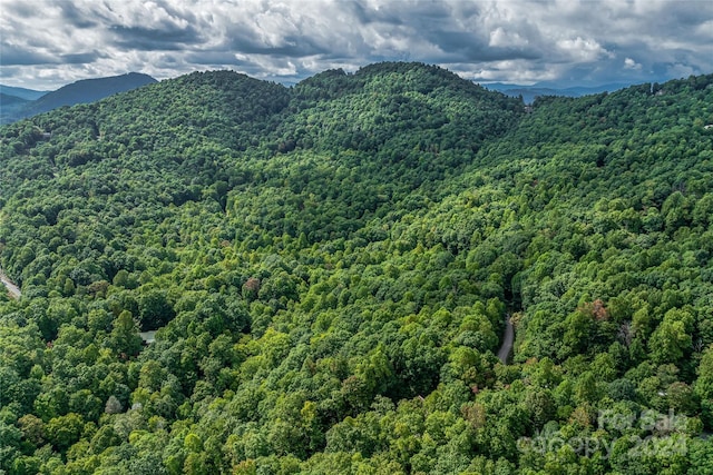 99999 Rhododendron Dr Unit 4, Old Fort, NC 28762