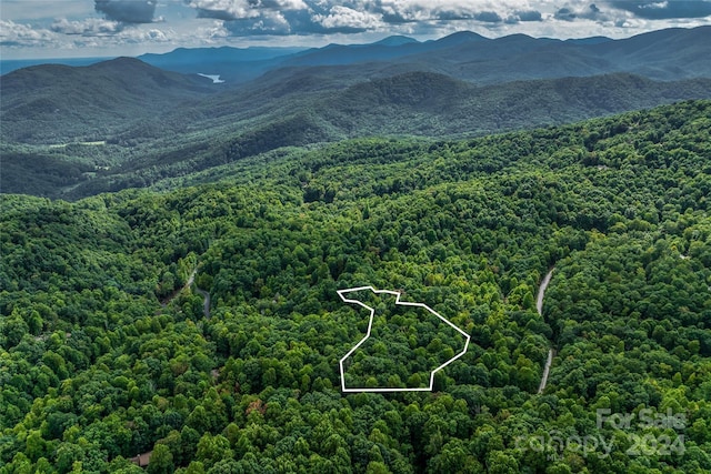 99999 Rhododendron Dr Unit 4, Old Fort, NC 28762