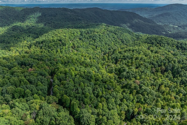 99999 Rhododendron Dr Unit 4, Old Fort, NC 28762