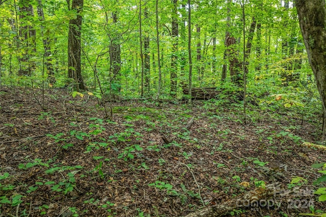 99999 Rhododendron Dr Unit 4, Old Fort, NC 28762