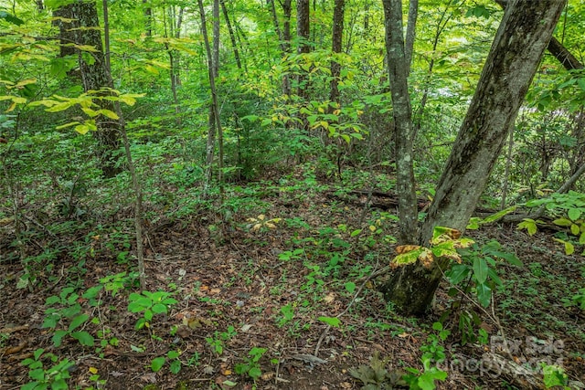 99999 Rhododendron Dr Unit 4, Old Fort, NC 28762