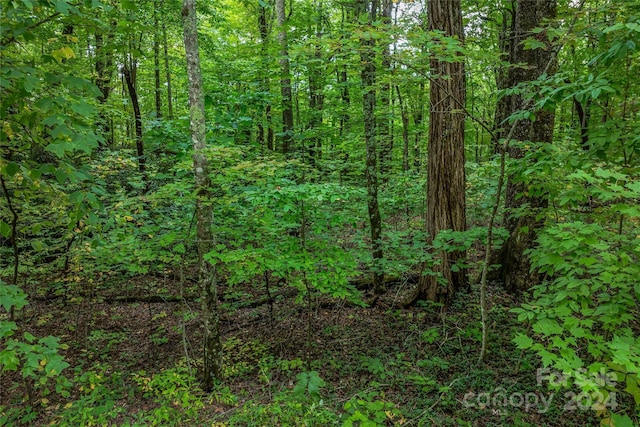 99999 Rhododendron Dr Unit 4, Old Fort, NC 28762