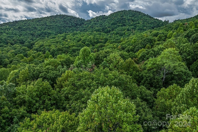 99999 Rhododendron Dr Unit 4, Old Fort, NC 28762