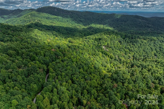 99999 Rhododendron Dr Unit 4, Old Fort, NC 28762