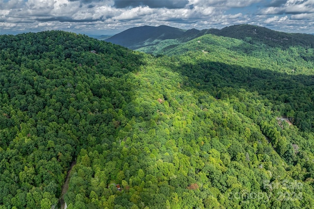 99999 Rhododendron Dr Unit 4, Old Fort, NC 28762